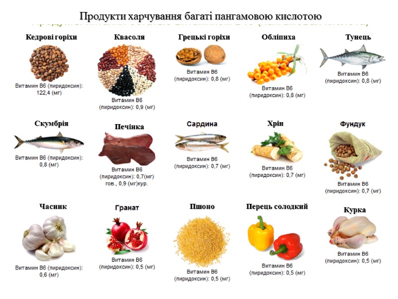 Продукти харчування багаті пангамовою кислотою Кедрові горіхи Квасоля  Грецькі горіхи  Обліпиха 